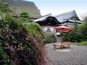 �������̎ʐ^1