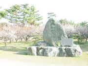 �j�~�V���_�Ђ̎ʐ^3