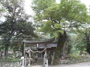 �L���_�Ђ̎ʐ^1