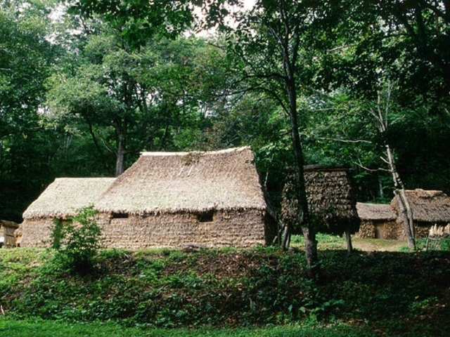 �`�Z�i�`���̃R�^���j_�`�Z�i�`���̃R�^���j