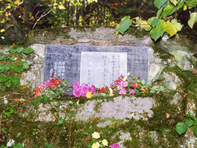 �S�c�@������