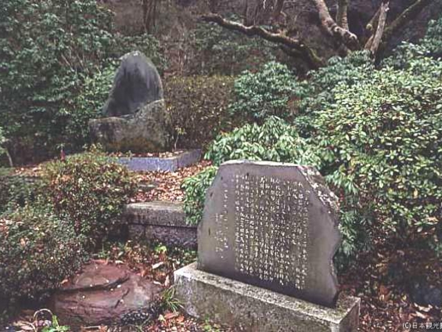 ���q�ɐ̍g��̎ʐ^1