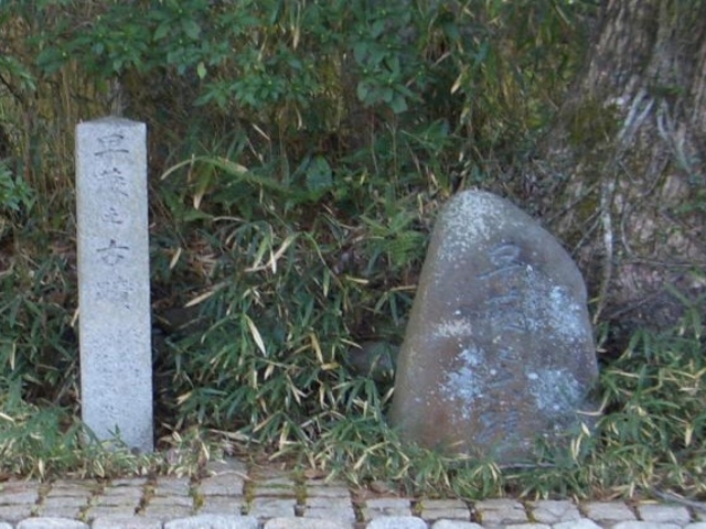 �F���\���ÐՁu���n�v_��������F���\���u���n�v