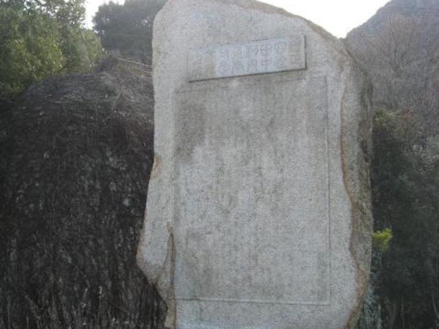 �c���͓���q�̕��̎ʐ^1