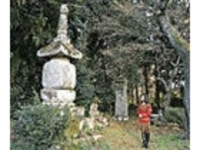 ���؉ƍ������̎ʐ^1