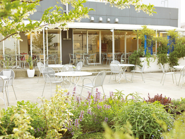 she Bop TERRACE V[obveX̎ʐ^1