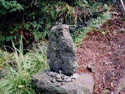 mԋ{i݉F_Гj̎ʐ^1