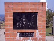 �R�����q���̎ʐ^1