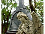 ��{���ە�n�̎ʐ^1