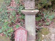 �V�S���̘Z�n���̎ʐ^1