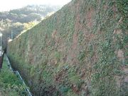 �y��Ƃ̈��[���̎ʐ^1