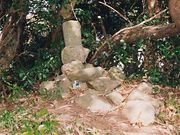 ���V���g�̕�̎ʐ^1