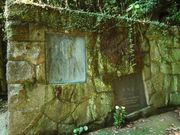 ���Q��}�̕�̎ʐ^2