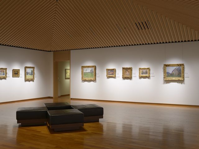 �㌴���p��