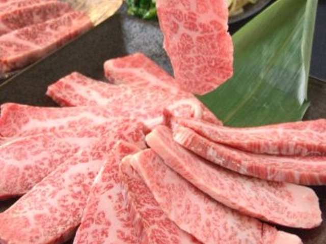 �_�y�� ���p���̎ʐ^1