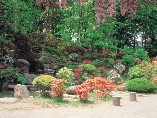 ���M����