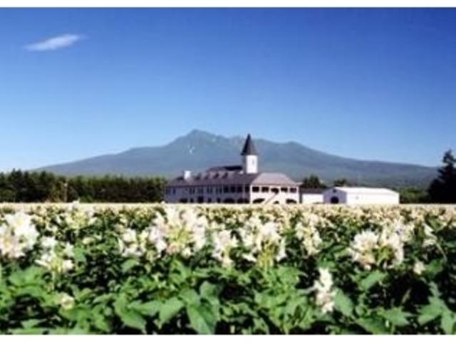 �����Ē�������