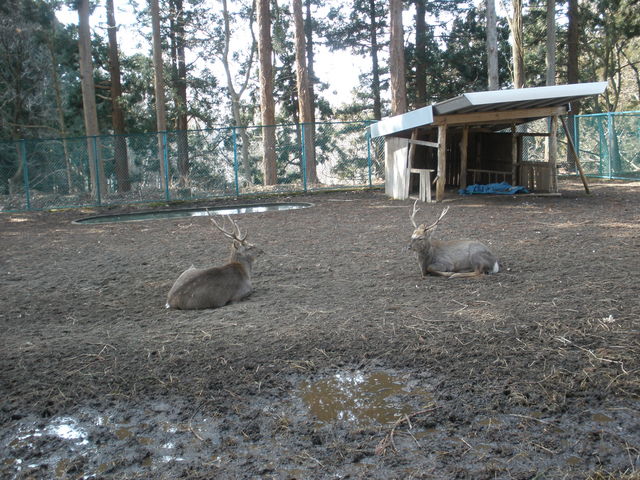 ���j�ՎO�ˏ�Տ�R����