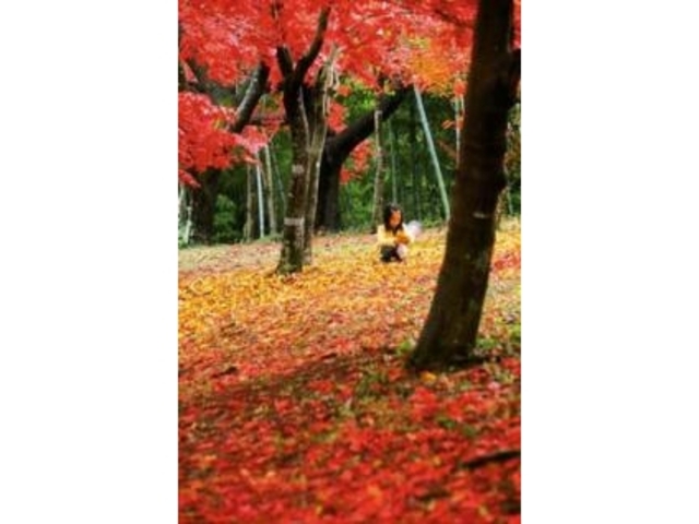 �g�t�R����