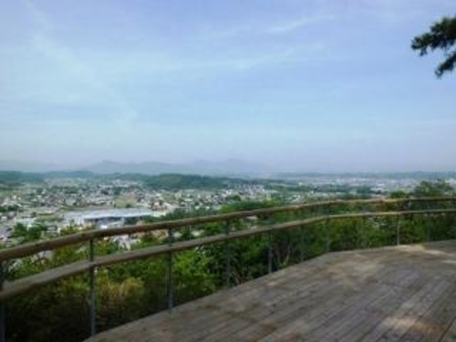 �W�]�f�b�L����̒���_�����R����