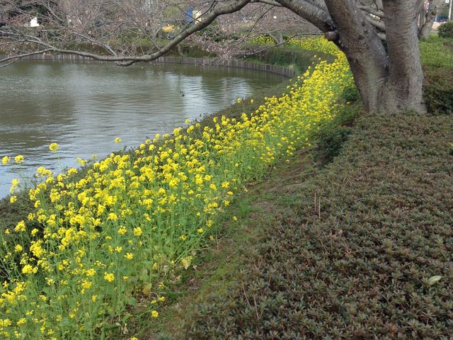 ���P�Y����