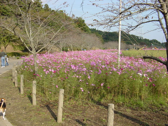 ���P�Y����