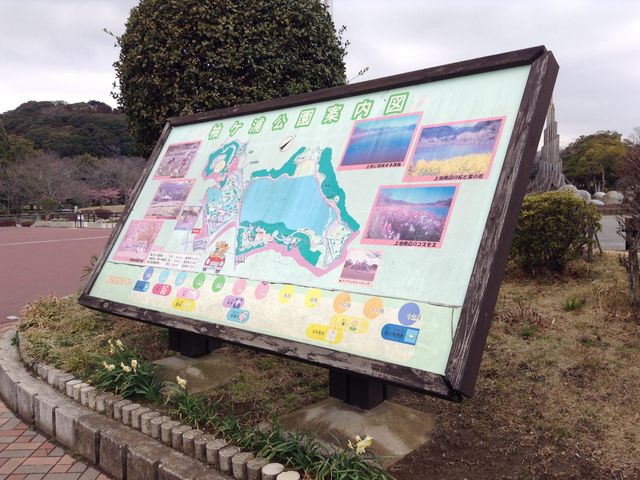 ���P�Y����