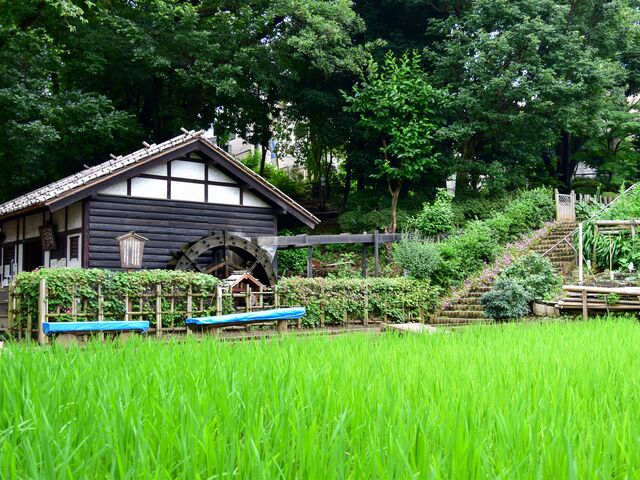 板橋区立水車公園】アクセス・営業時間・料金情報 - じゃらんnet
