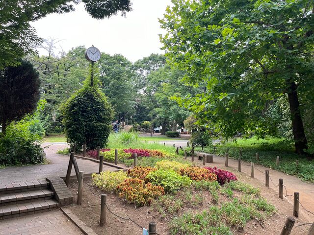 �z�K�̐X����