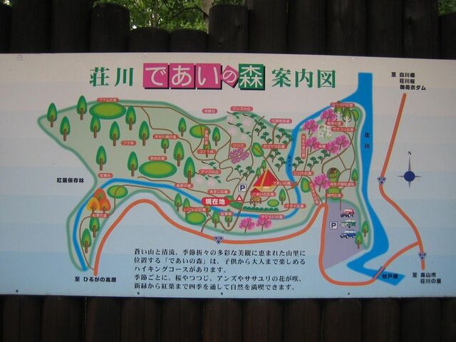 ����ł����̐X