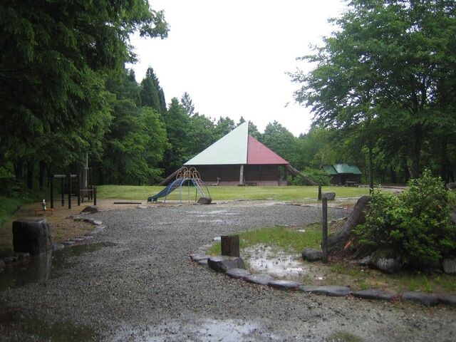 ����ł����̐X