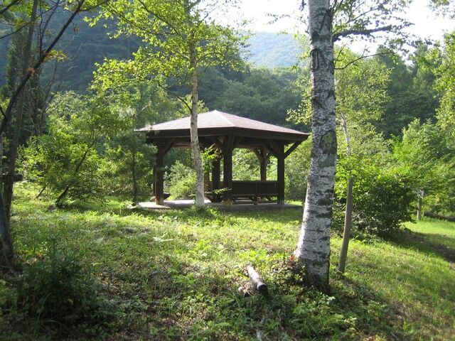 ����ł����̐X