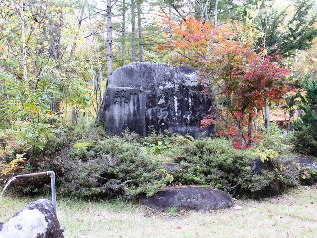 ����ł����̐X