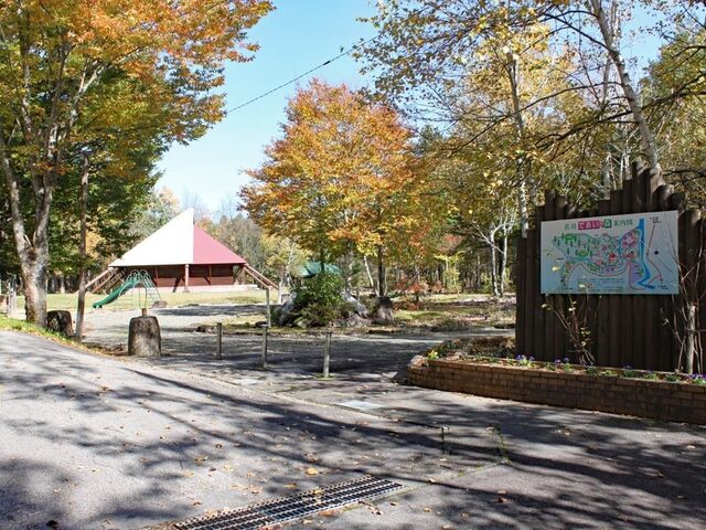 ����ł����̐X