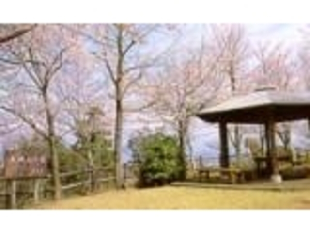 �{��R����