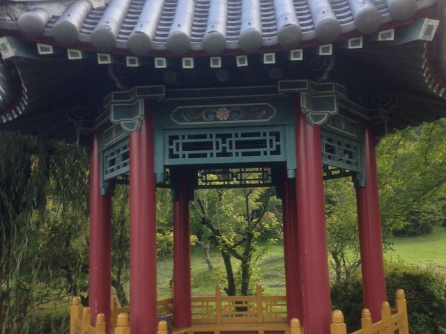 �܂��ь���