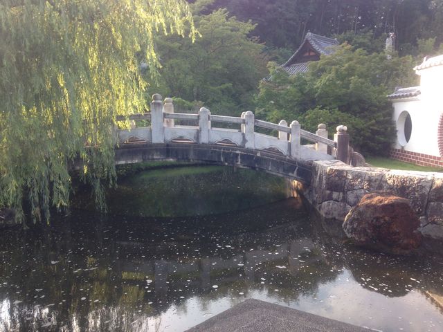 �܂��ь���