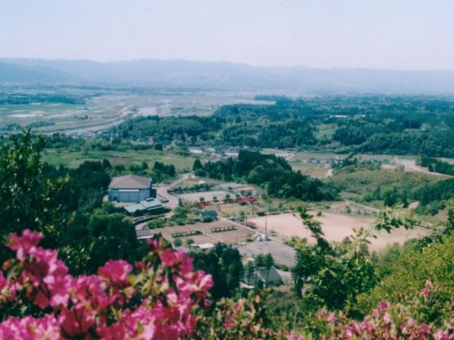 ���R�^�������̎ʐ^1