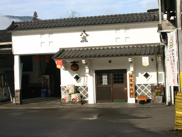 �����𑢊������