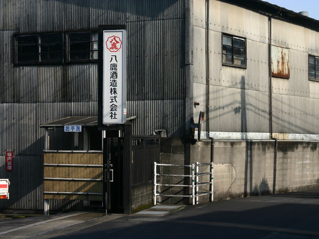 �����𑢊������