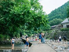 �����e�������̎ʐ^1