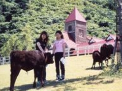 兵庫県立但馬牧場公園の写真1
