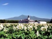 �����Ē��������̎ʐ^1