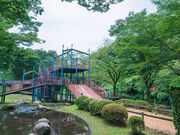 �����e�������̎ʐ^2