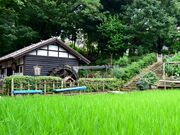 ���旧���Ԍ����̎ʐ^1