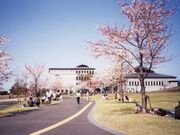 ���ނ��풆�������̎ʐ^1