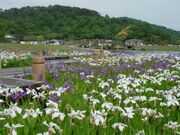 �։�s�����^�������ԏҊ����̎ʐ^1