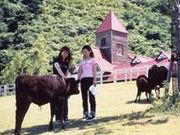 兵庫県立但馬牧場公園の写真1