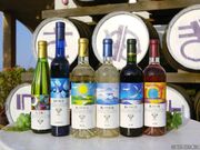 ���ʂ����C�i���[�̎ʐ^1