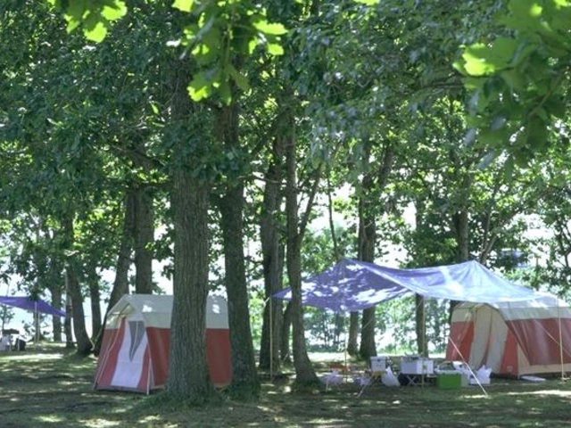 �R���P���ۃL�����v��